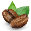 Two coffee beans with a green leaf on a white background