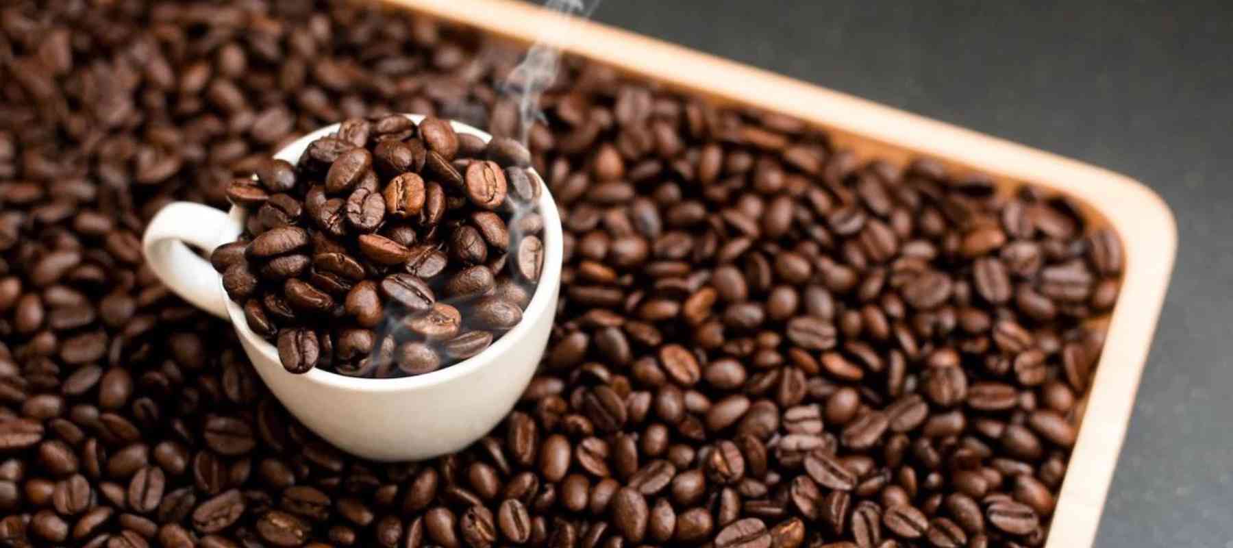 Fresh roasted coffee beans steaming in a white cup, symbolizing coffee subscriptions