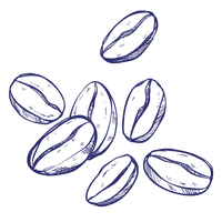 Illustration of coffee beans in blue on a white background